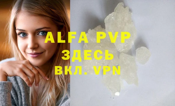спиды Магас