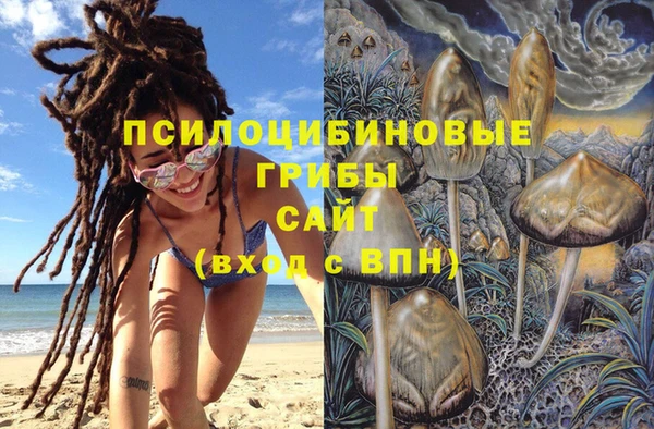 МДПВ Магадан