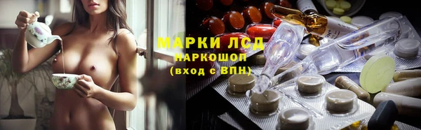 спиды Магас