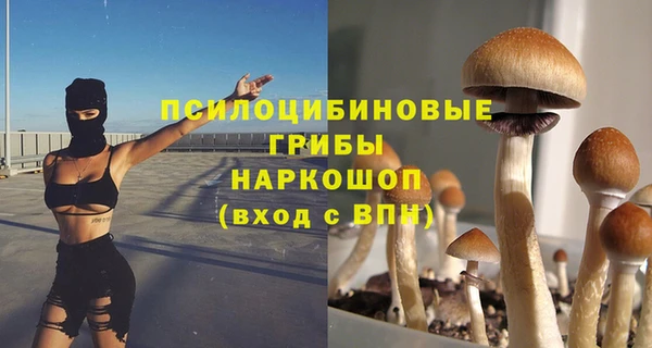 мяу мяу мука Майский