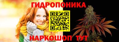 прущие грибы Абинск