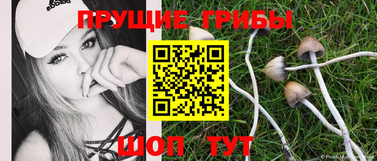 Галлюциногенные грибы ЛСД  где купить   Россия  Псилоцибиновые грибы прущие грибы 