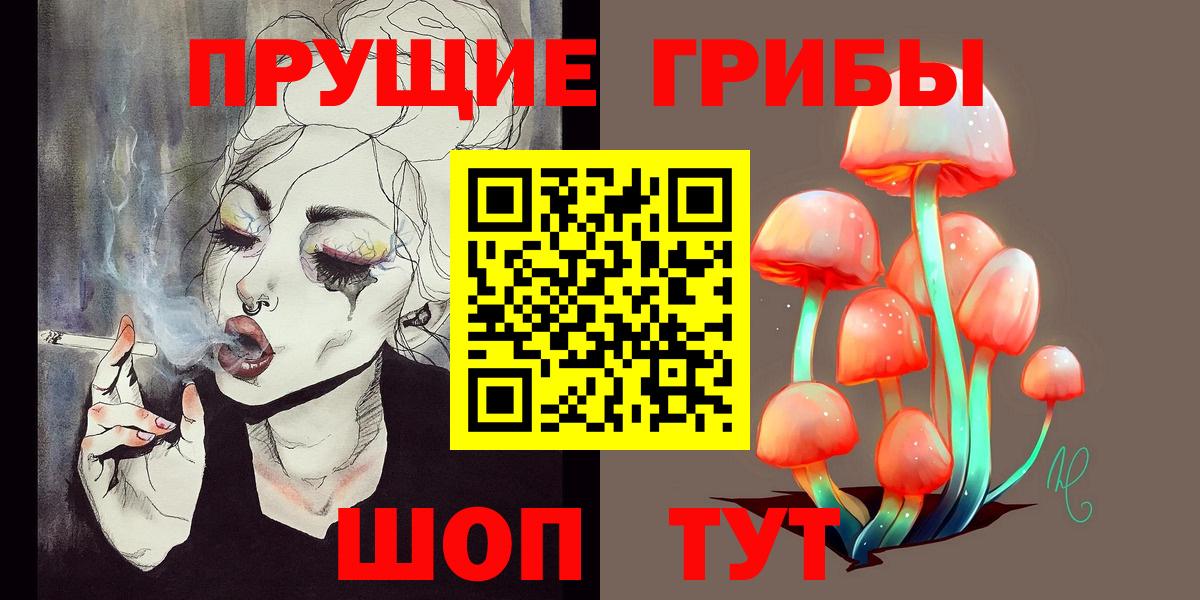 Псилоцибиновые грибы прущие грибы Россия