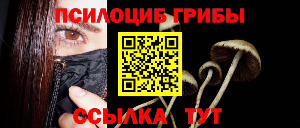 Галлюциногенные грибы GOLDEN TEACHER  Вход с VPN  Россия 