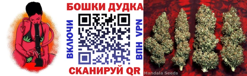 Шишки марихуана планчик  Ижевск 
