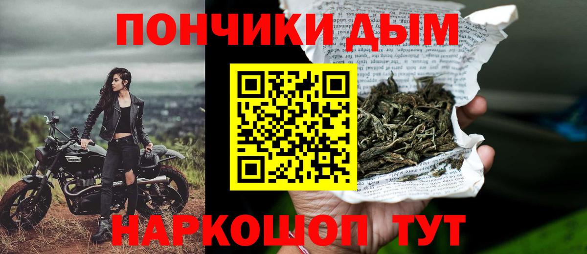 Бошки Шишки семена Россия